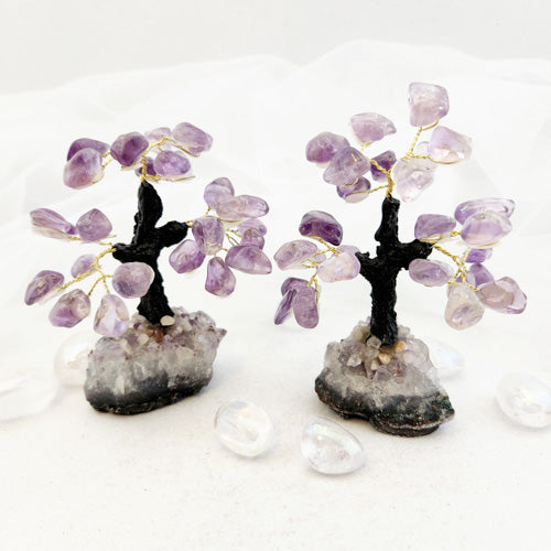 Amethyst Crystal Tree on Cluster (assorted. approx. 10-12x8.9-9.7