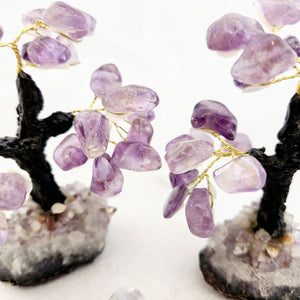 Amethyst Crystal Tree on Cluster