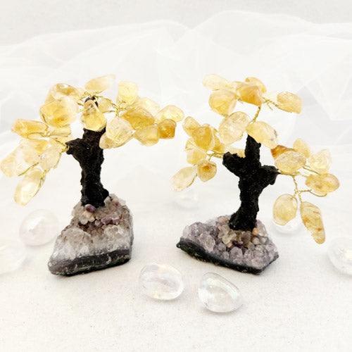 Citrine Crystal Tree on Cluster (heat treated. assorted. approx. 10-12x8.9-9.7cm)