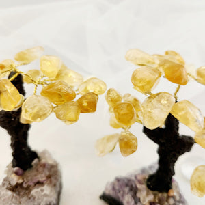 Citrine Crystal Tree on Cluster