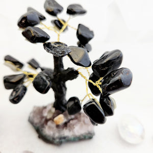 Black Tourmaline Crystal Tree on Cluster