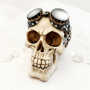 Steampunk Style Skull with Goggles