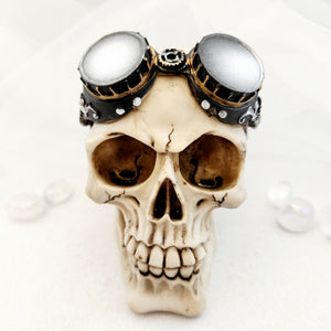 Steampunk Style Skull with Goggles