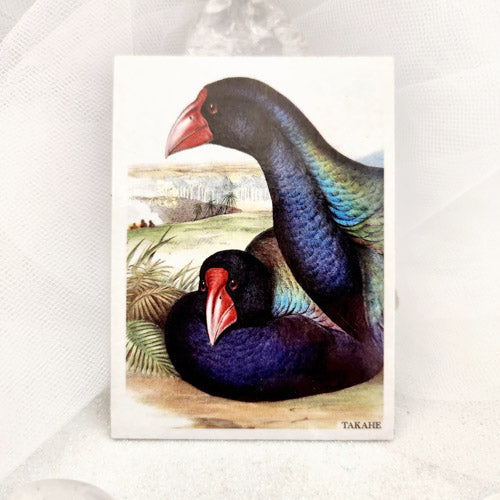 Takahe Magnet (approx. 6.5x9cm)