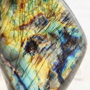 Labradorite Polished Free Form