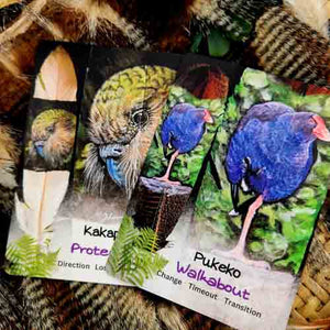 The Sacred Oracle of Feathers Cards