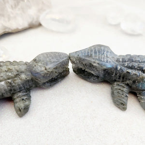 Labradorite Crocodiles in love