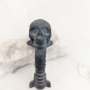 Black Obsidian Skull on Spine