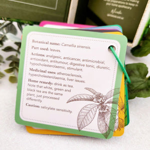 Apothecary Flash Cards