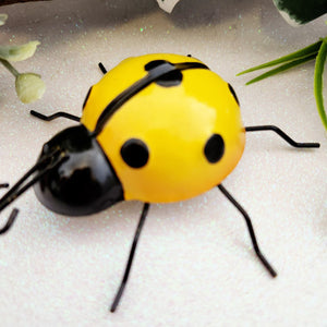 Ladybug Yellow & Black
