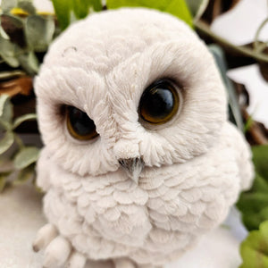Cute Snow Owl
