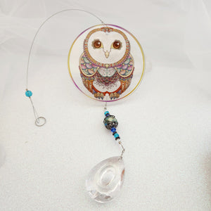 Hanging Glass Owl with Prism