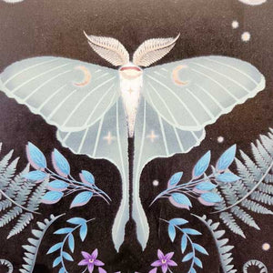 Luna Moth Wall Art