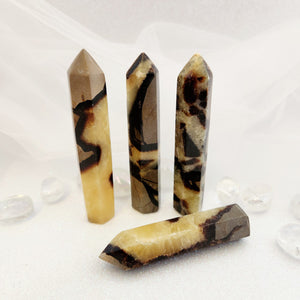 Septarian Polished Points