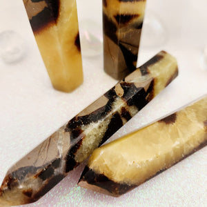 Septarian Polished Points