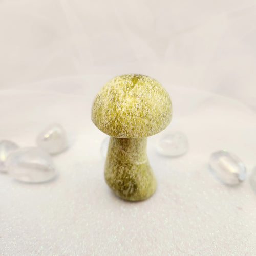 Serpentine Mushroom (assorted. approx. 6.8-7.8x4-4.2cm)