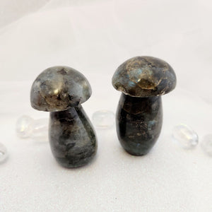 Labradorite Mushroom