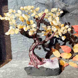 Citrine Tree with Dark Trunk on Amethyst Cluster