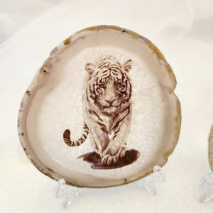 Agate Slice with Tiger Deca