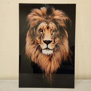 Lion Glass Wall Art