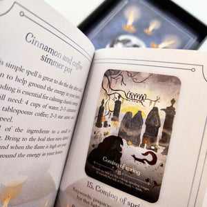 Sesons of The Witch Imbolc Oracle Cards