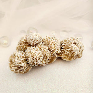 Desert Rose Cluster