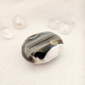 Orca Agate Palm Stone