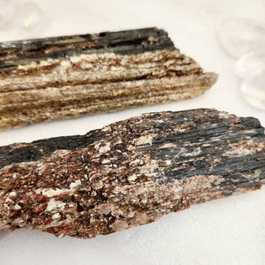 Black Tourmaline with Mica Specimen