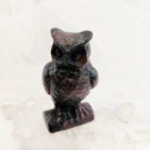 Garnet in Astrophyllite Owl