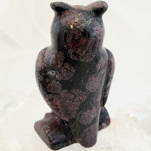 Garnet in Astrophyllite Owl