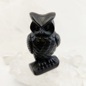 Obsidian Owl