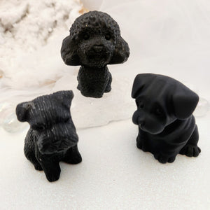 Black Obsidian Dog