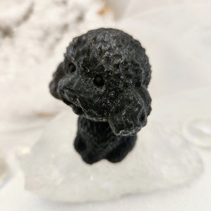 Black Obsidian Dog