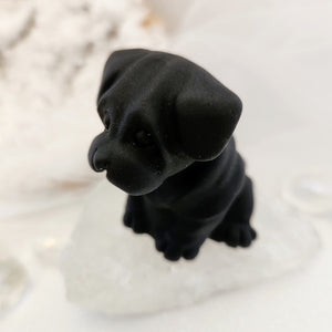 Black Obsidian Dog