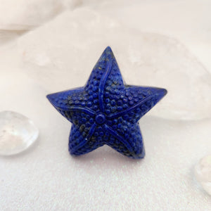 Lapis Lazuli Starfish