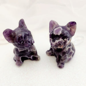 Chevron Amethyst Dog