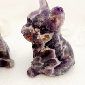 Chevron Amethyst Dog