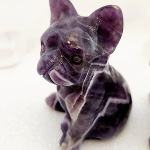 Chevron Amethyst Dog