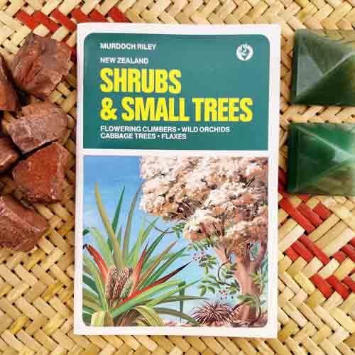 Shrubs & Small Trees (New Zealand)