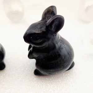 Black Obsidian Rabbit