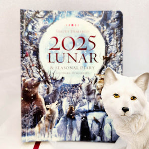 2025 Lunar and Seasonal Diary