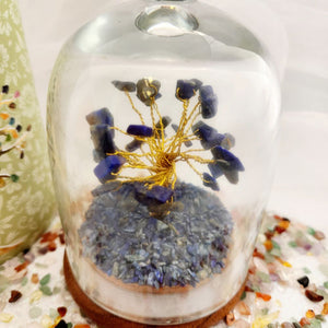 Lapis Lazuli Crystal Wish Tree in Glass Dome with Beautiful Box