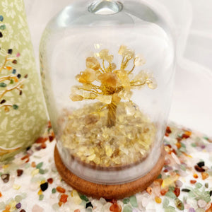 Citrine Crystal Wish Tree in Glass Dome with Beautiful Box