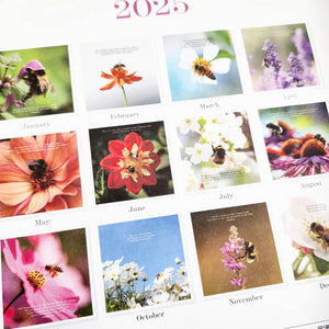 2025 Affirmations Bee Wall Calendar