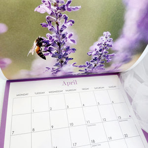 2025 Affirmations Bee Wall Calendar