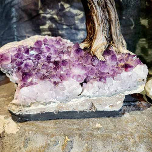 Amethyst Tree on Amethyst Cluster Base