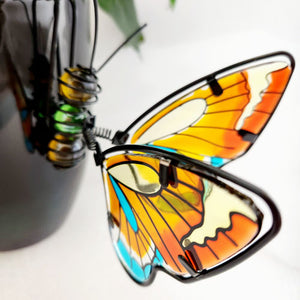 Orange & Blue Butterfly Pot Plant Hanger