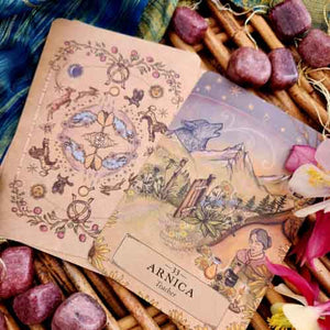 Herbal Astrology Oracle Cards