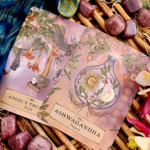 Herbal Astrology Oracle Cards