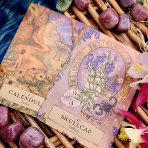 Herbal Astrology Oracle Cards